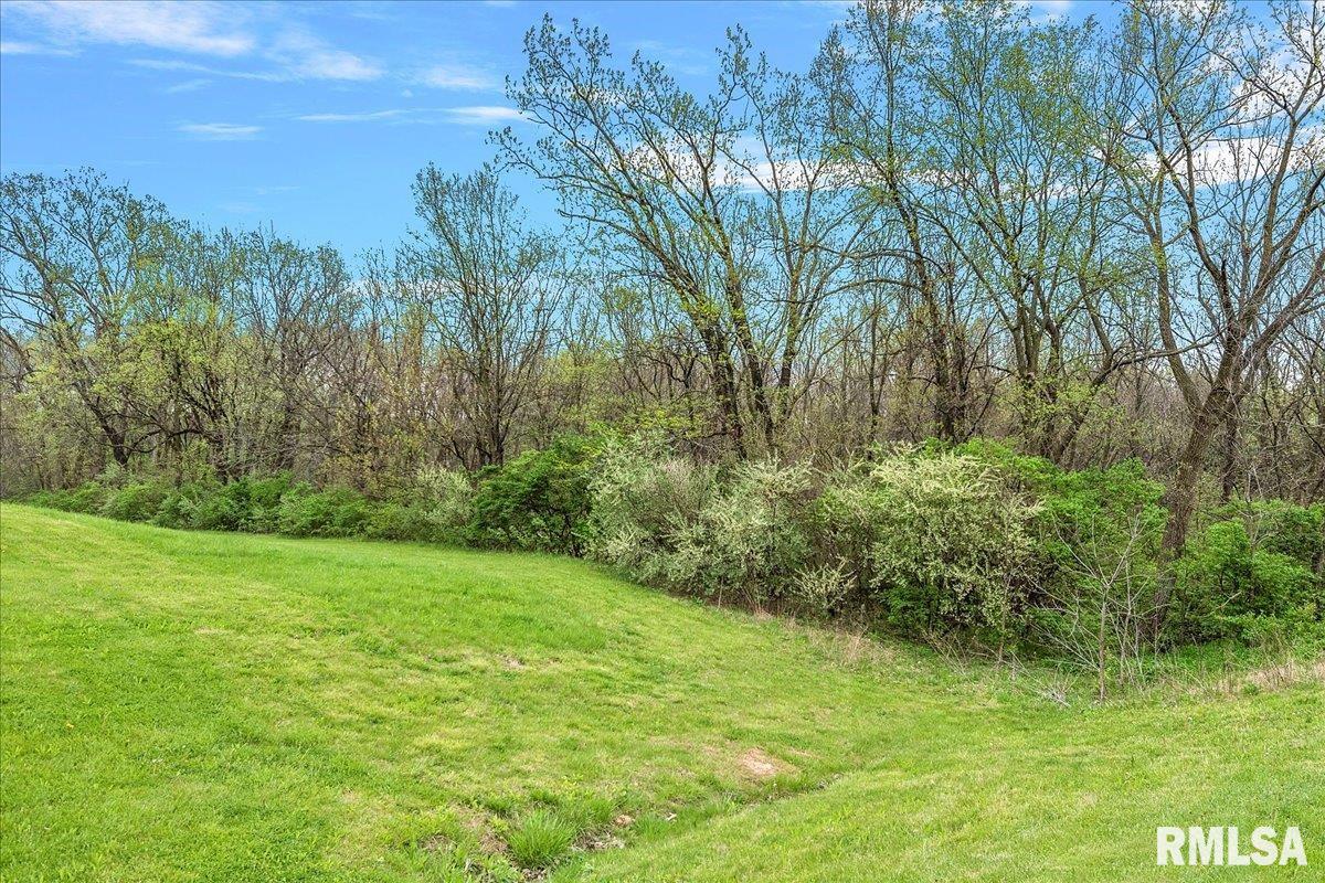 Bahr Road, Sherman, Illinois image 14