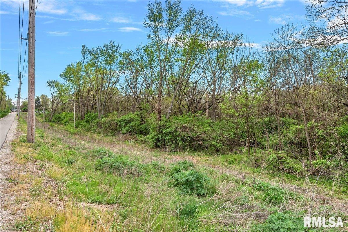 Bahr Road, Sherman, Illinois image 13