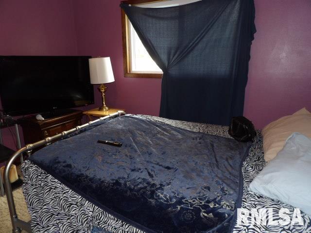 35 Victoria Ann Drive, Carrier Mills, Illinois image 12