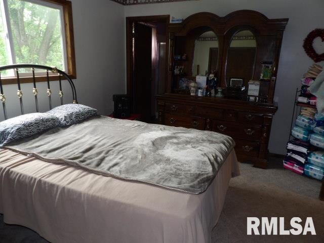 35 Victoria Ann Drive, Carrier Mills, Illinois image 8
