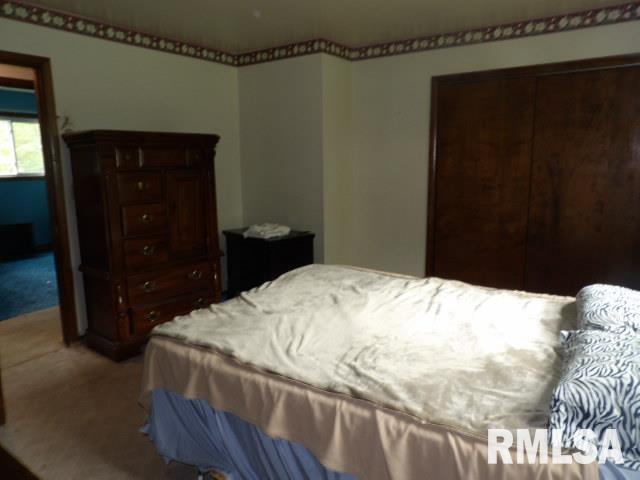 35 Victoria Ann Drive, Carrier Mills, Illinois image 9