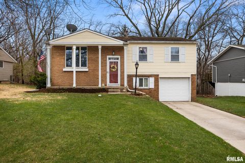 Photo of 2320 W WINNEBAGO Drive, Peoria, IL 61614 (MLS # PA1266063)