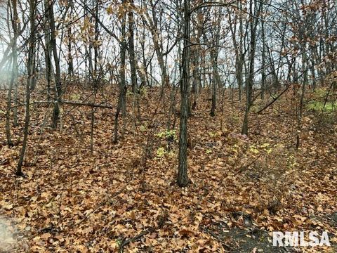 Vacant Land For Sale - 000 Yankee Lane<br/> Chillicothe, IL 61523