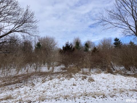 Vacant Land For Sale - LOT 10 Fair Acres Drive<br/> Monmouth, IL 61462