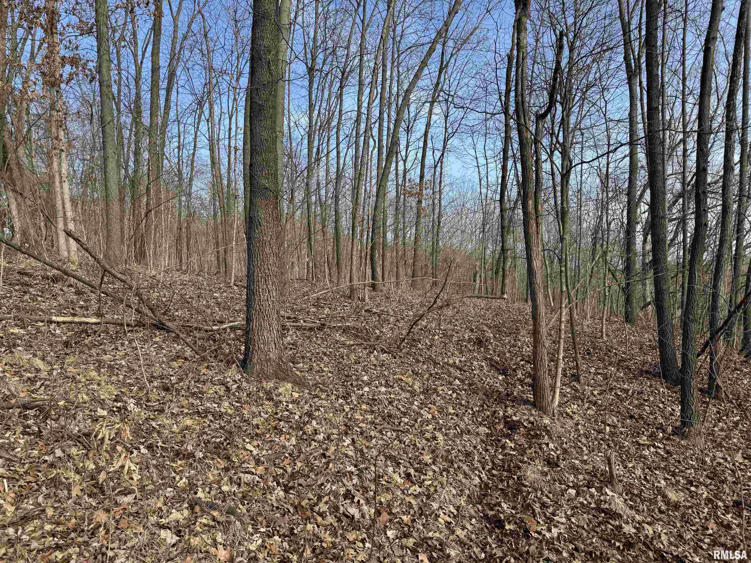 E Chaney Road, Canton, Illinois image 9