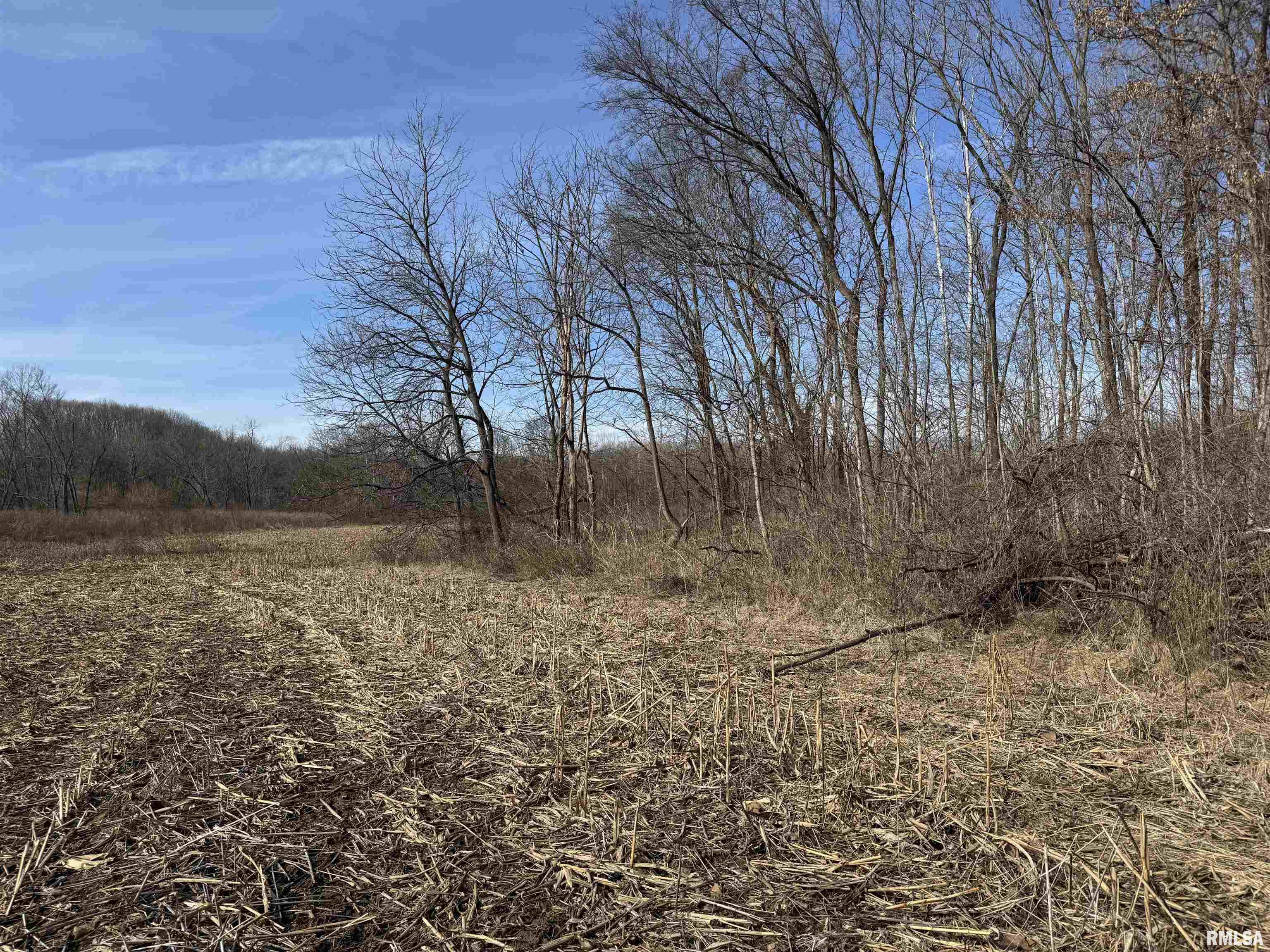 E Chaney Road, Canton, Illinois image 18