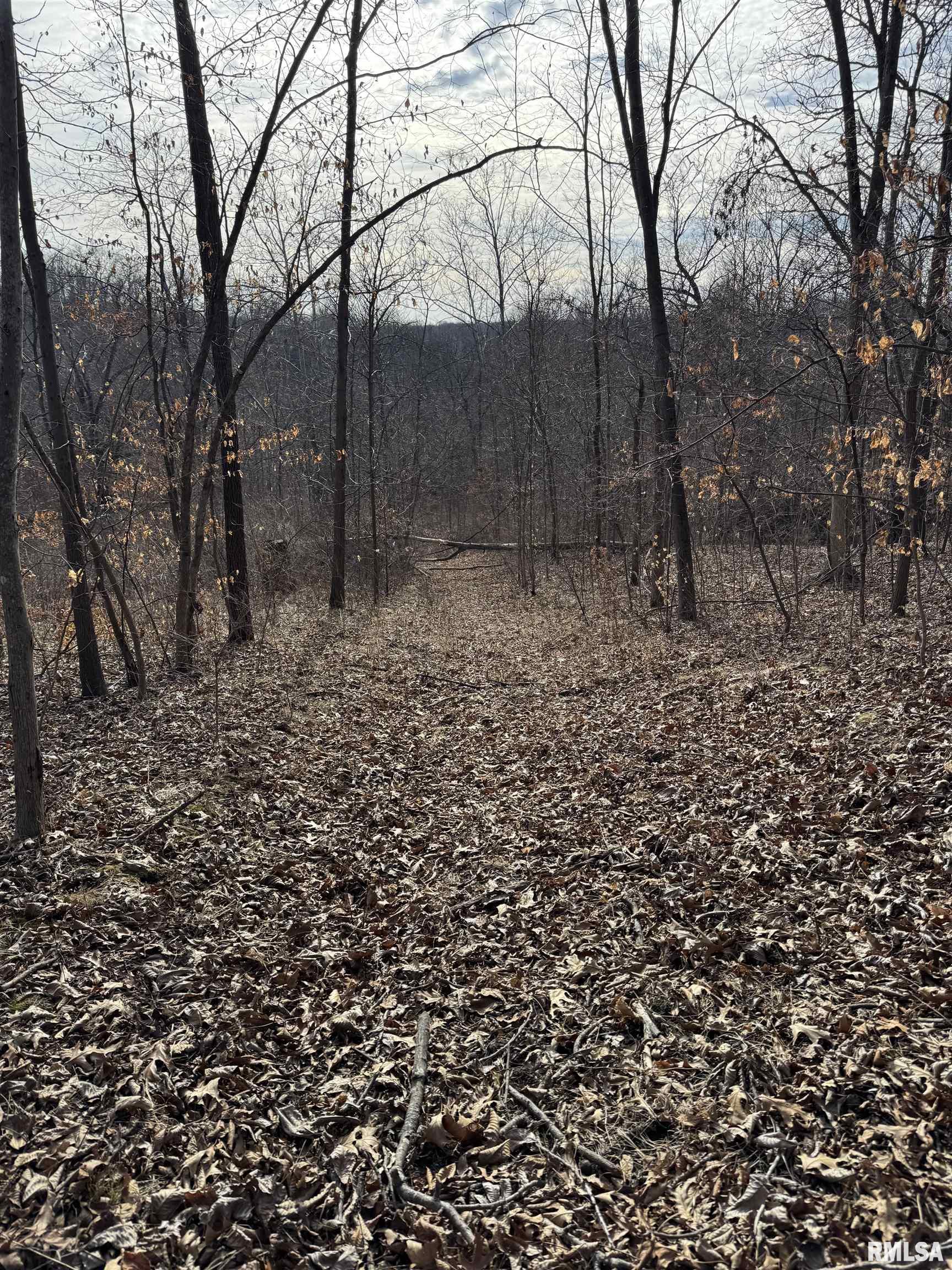 E Chaney Road, Canton, Illinois image 8