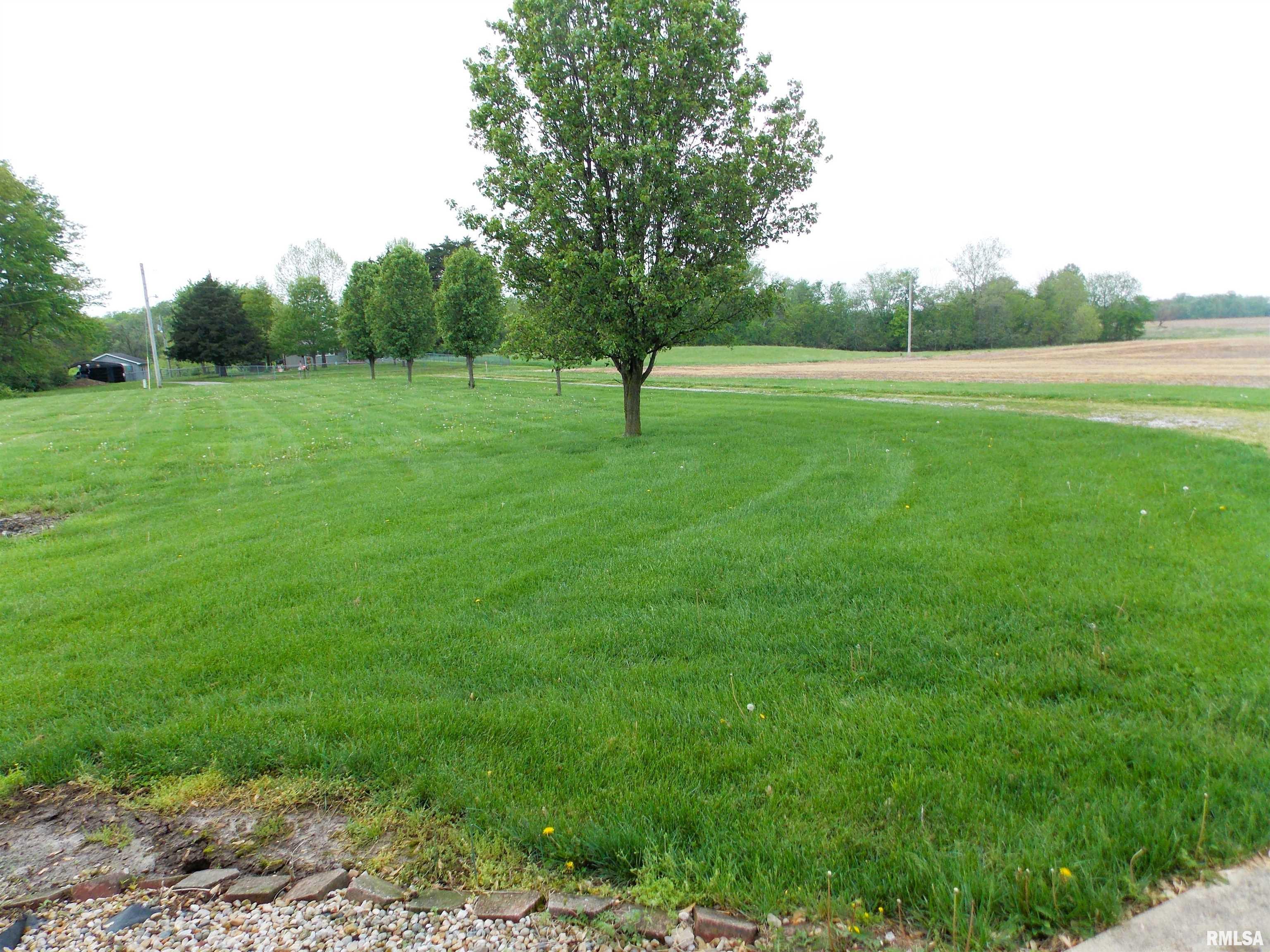 19880 Persimmon Tree Road, Centralia, Illinois image 32