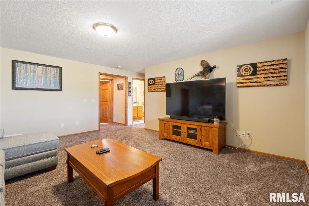 1506 17th Street, De Witt, Iowa image 35