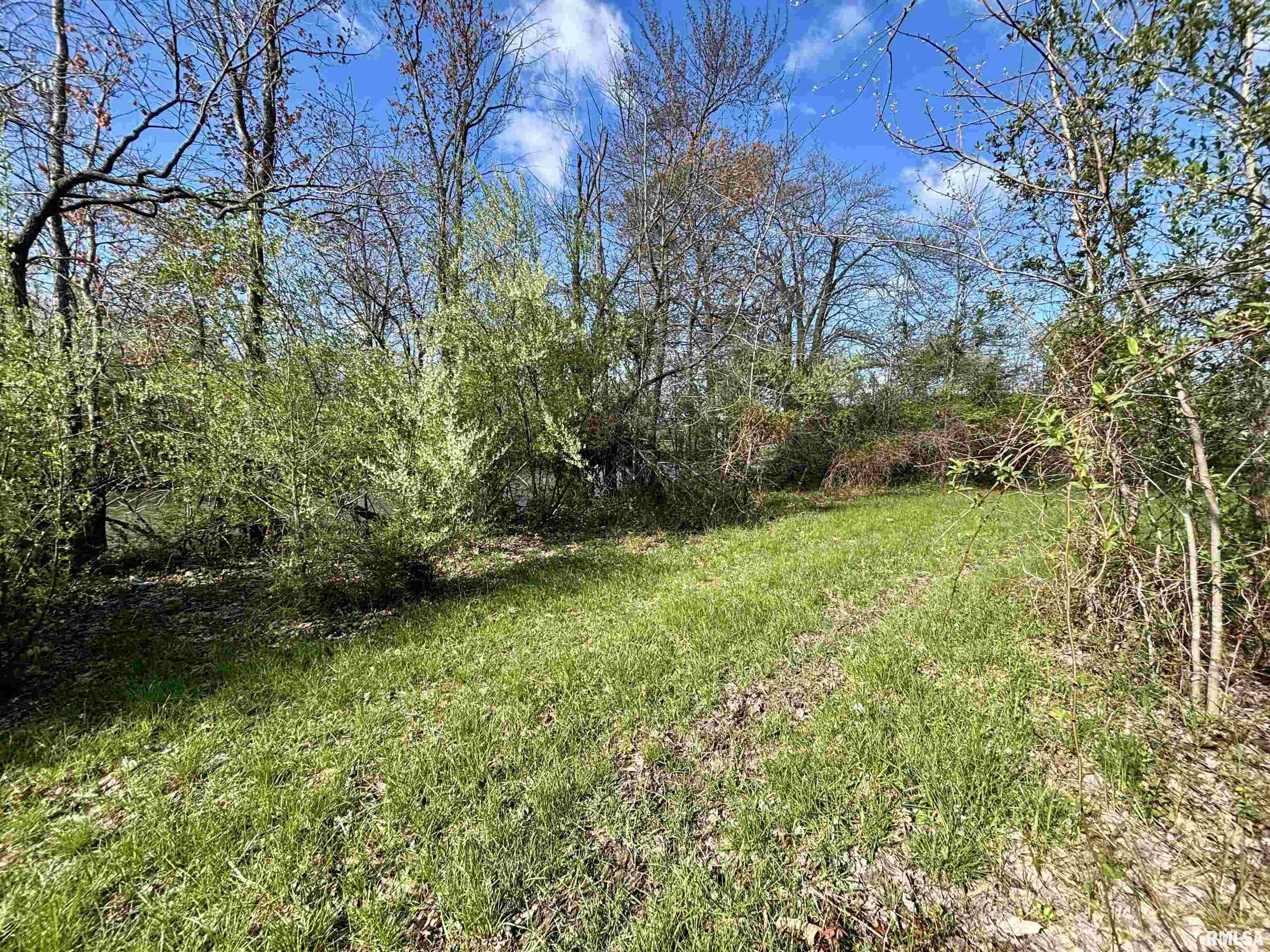000 E County Road 950 Road, Cisne, Illinois image 16