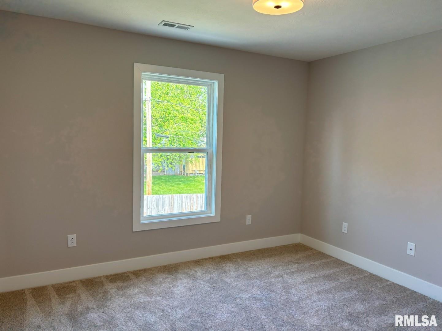 327 Waterwheel Drive, Rochester, Illinois image 28