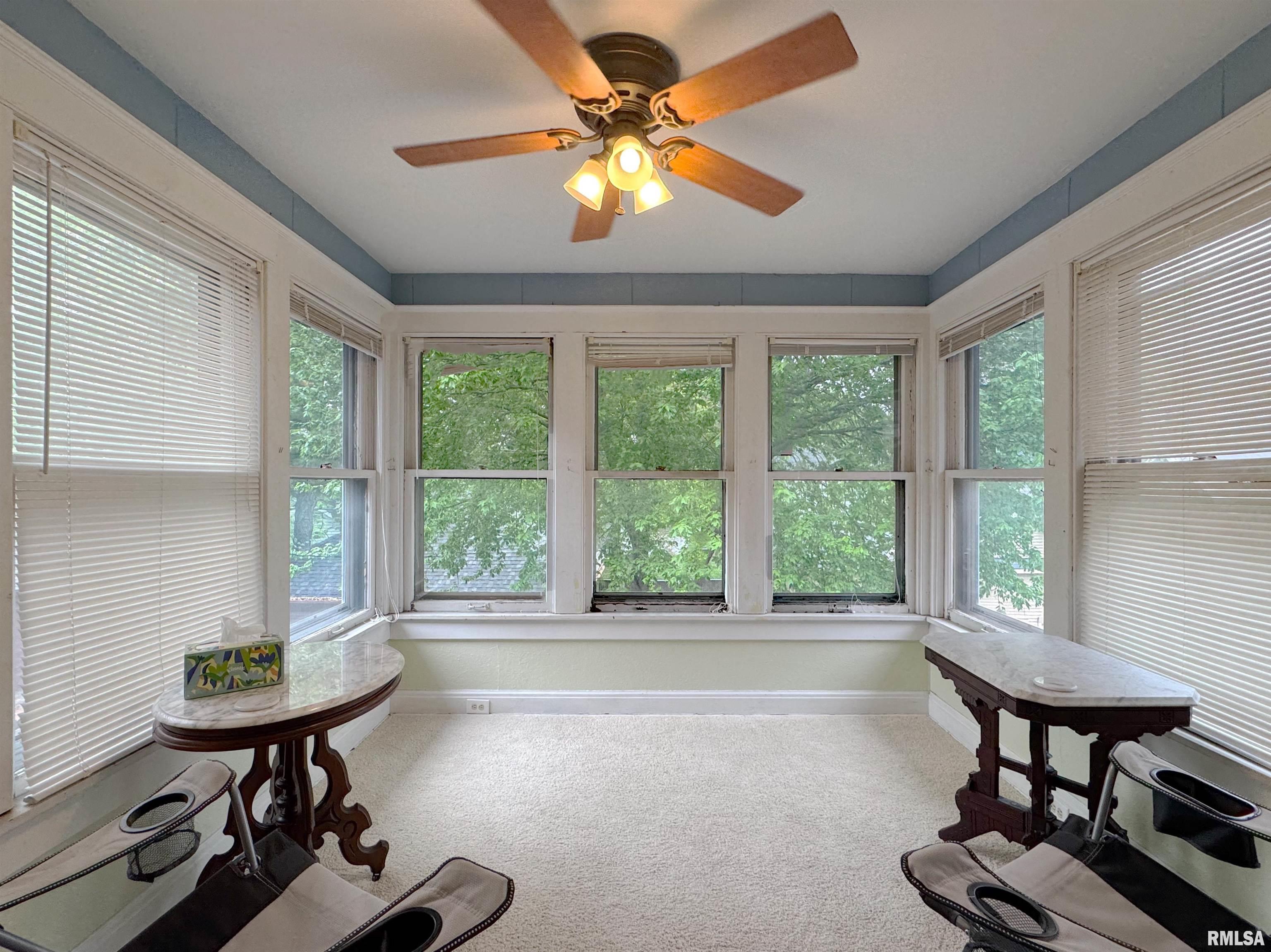 1117 W Moss Avenue, Peoria, Illinois image 46
