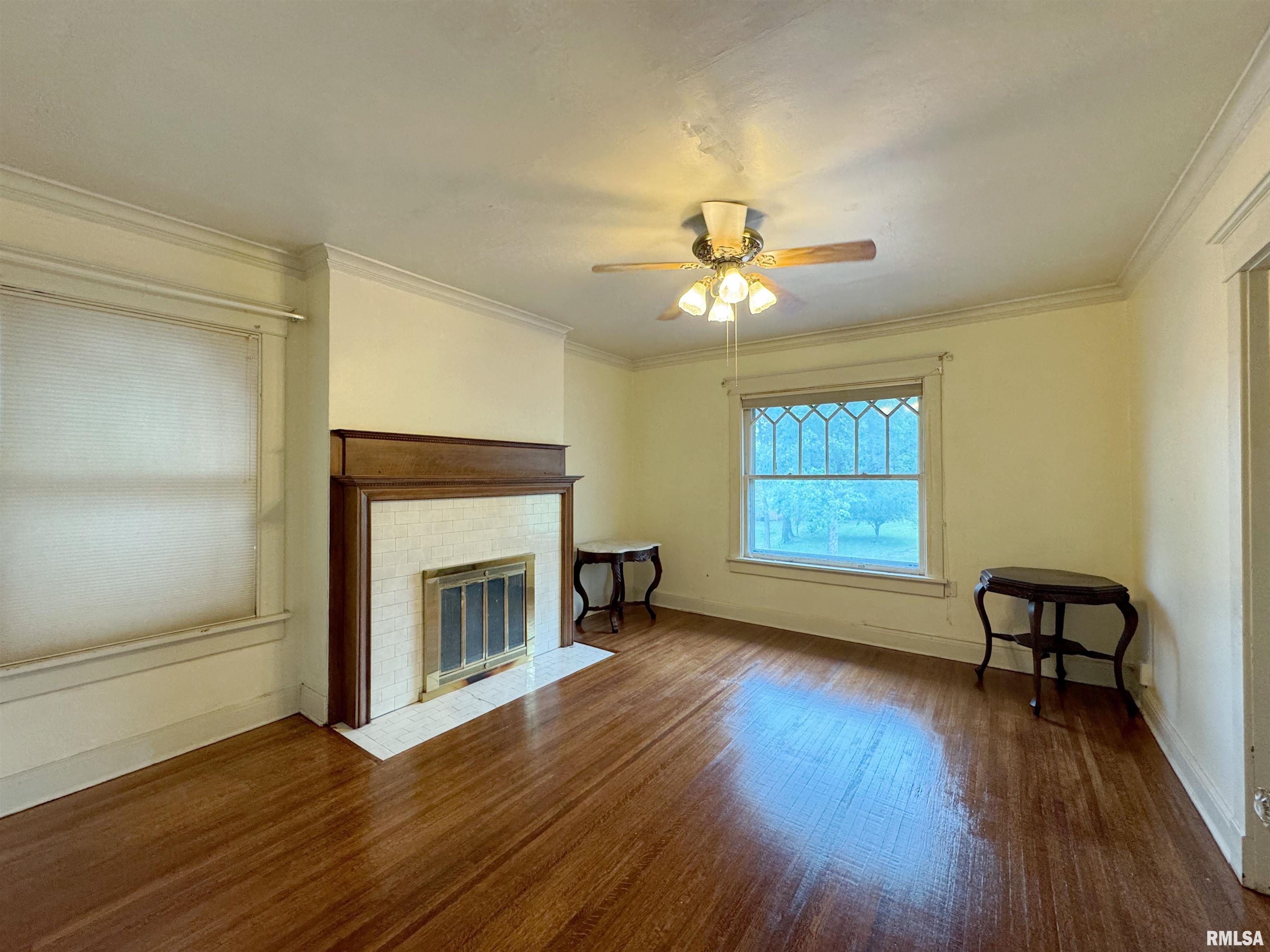 1117 W Moss Avenue, Peoria, Illinois image 42