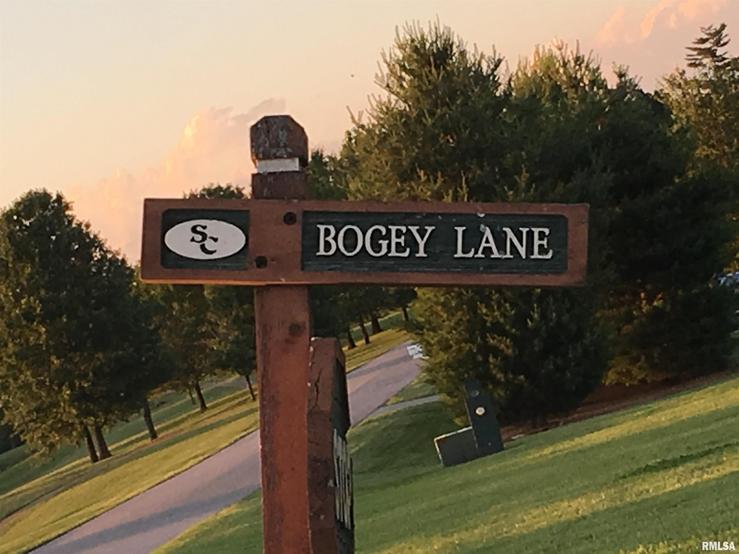 000 Bogey Lane, Makanda, Illinois image 1