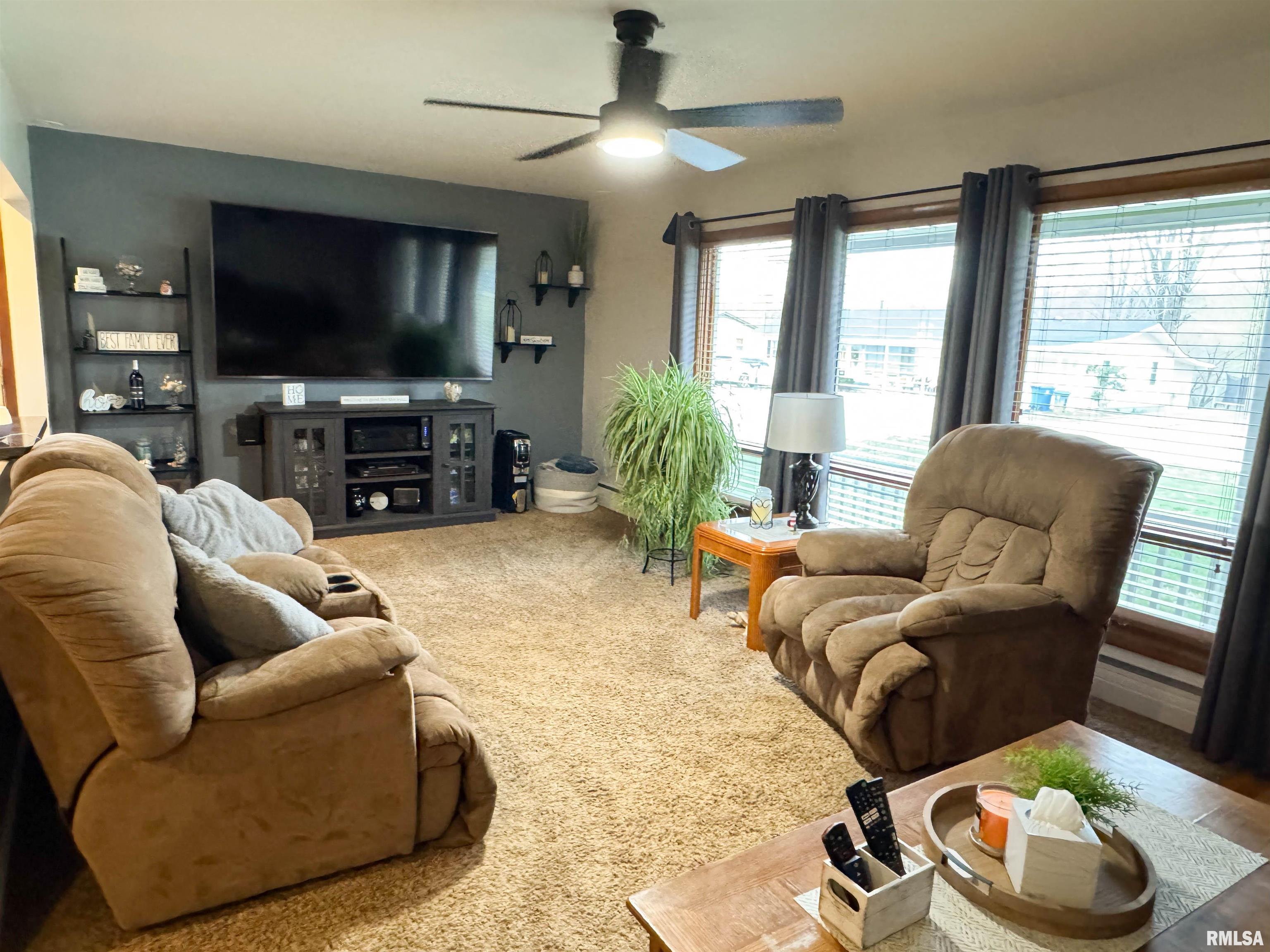 310 Williford Road, Jonesboro, Illinois image 20