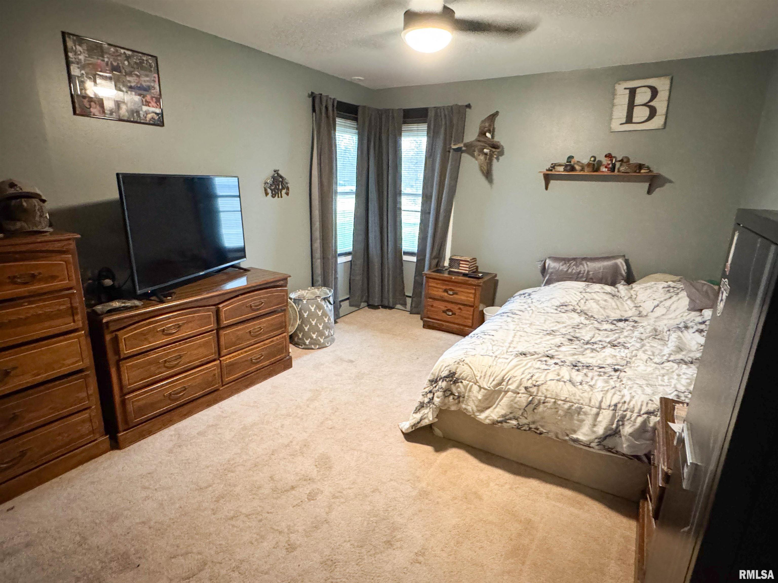 310 Williford Road, Jonesboro, Illinois image 36
