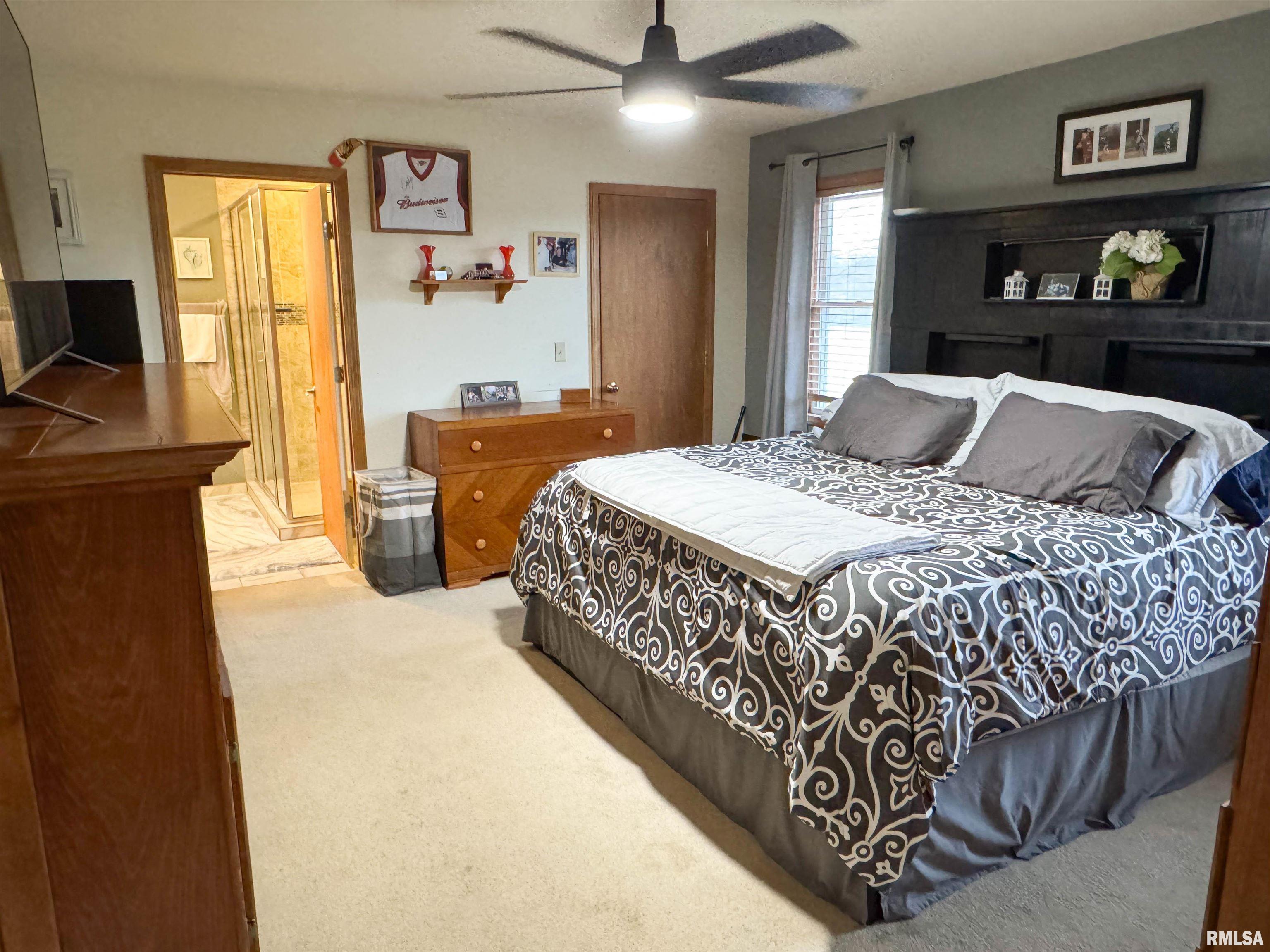 310 Williford Road, Jonesboro, Illinois image 27