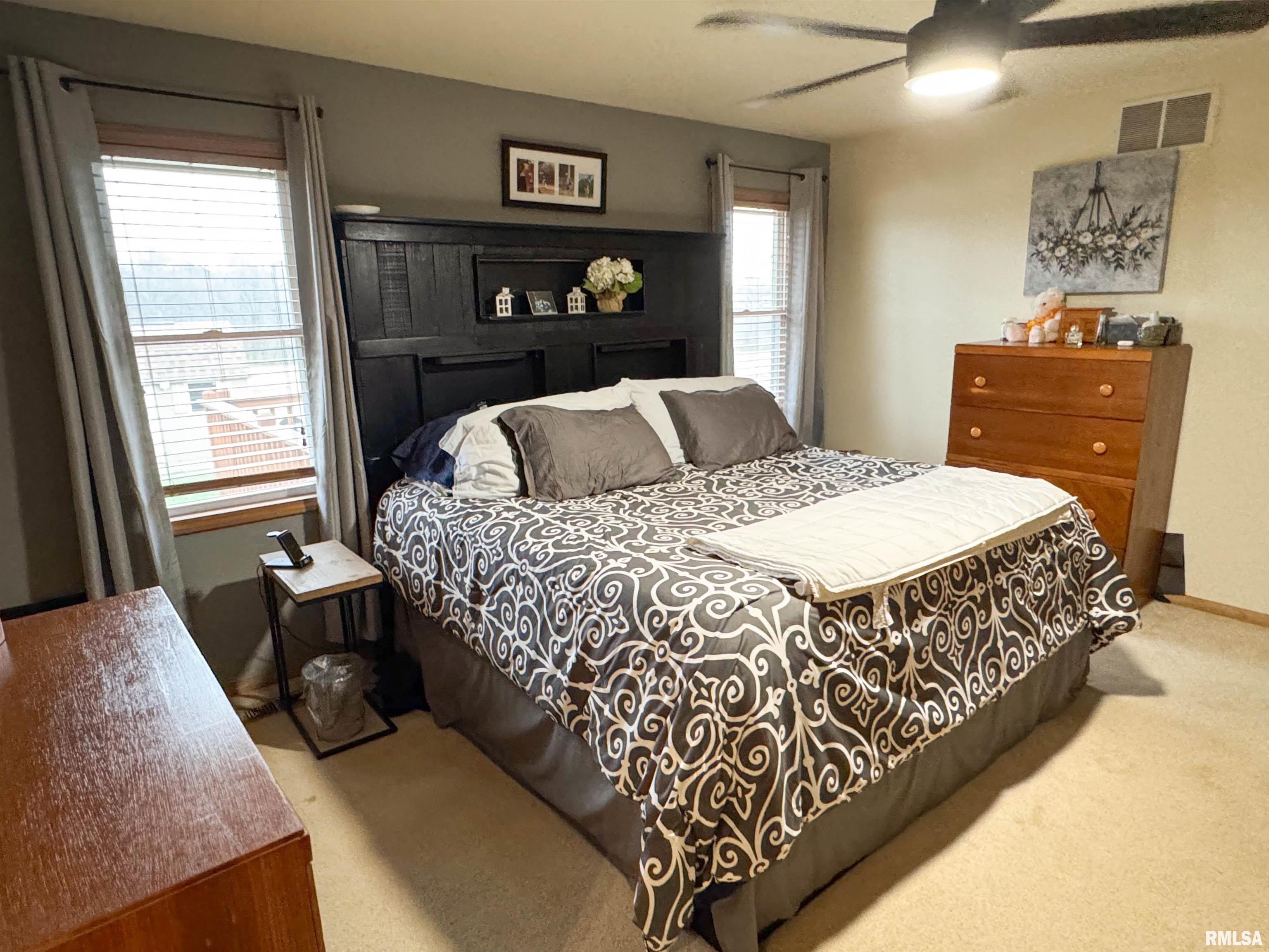 310 Williford Road, Jonesboro, Illinois image 25