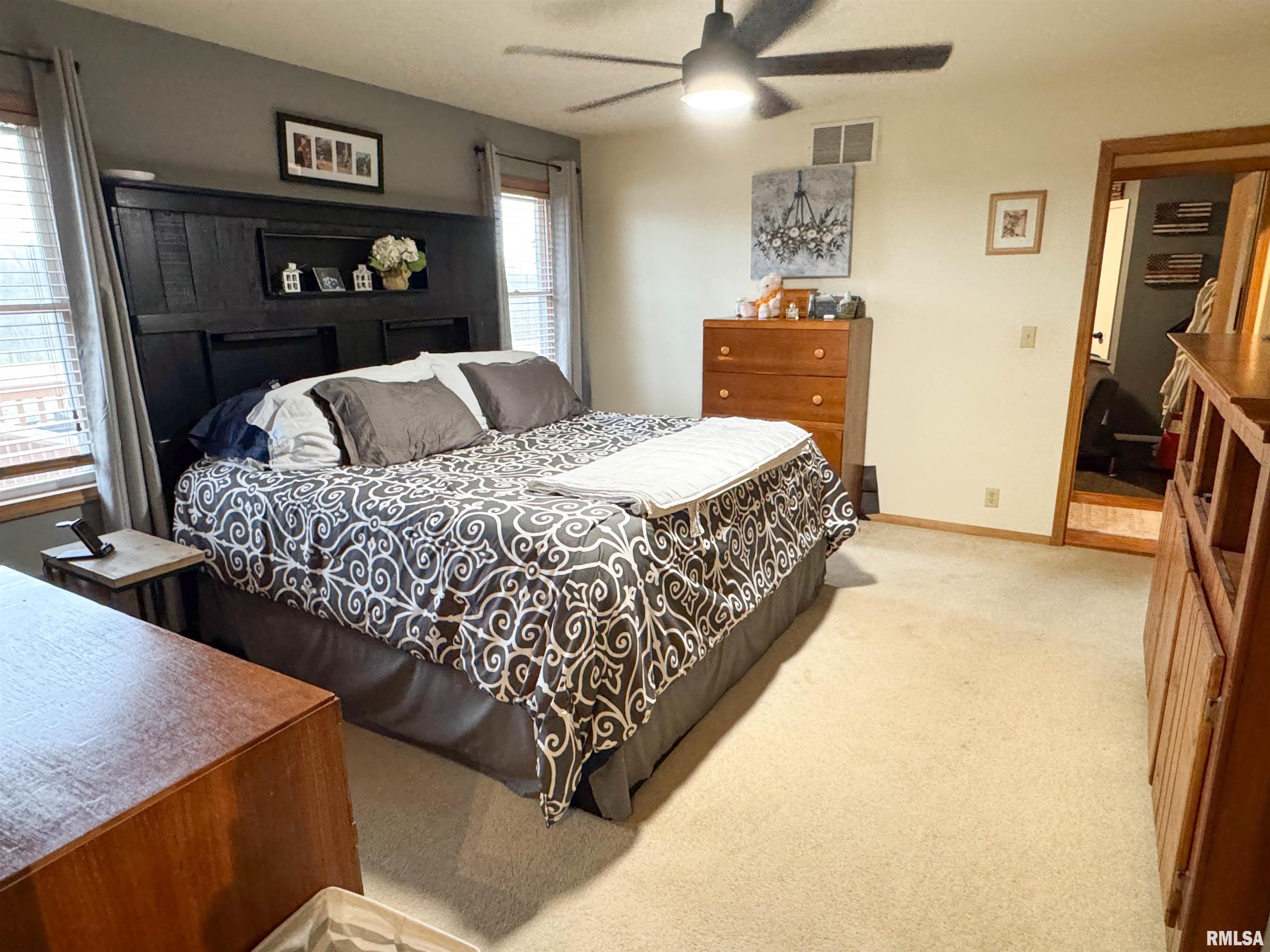 310 Williford Road, Jonesboro, Illinois image 26