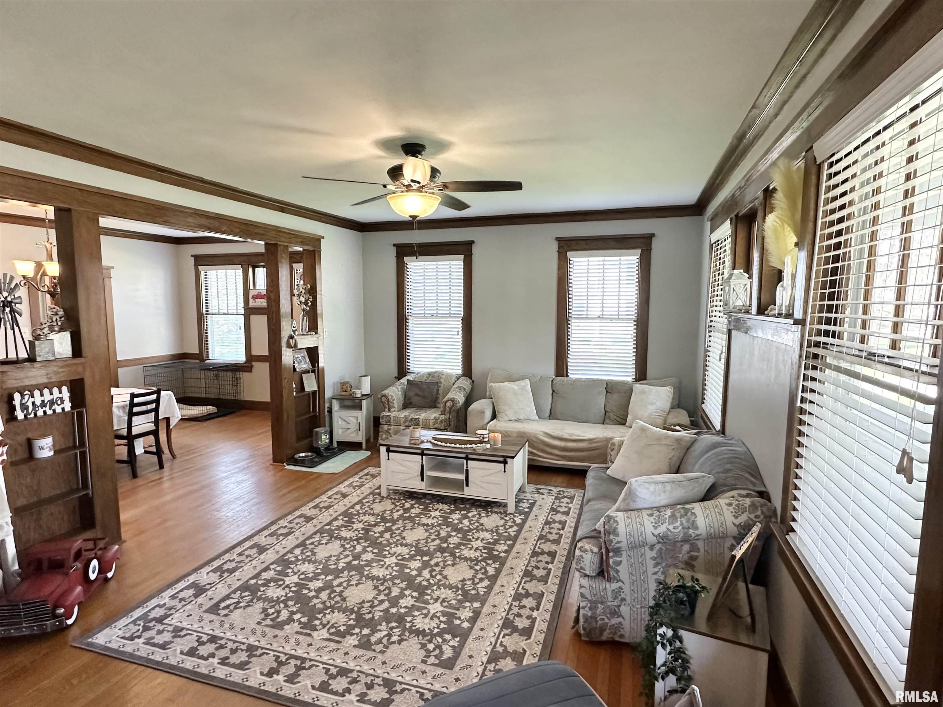 411 Congress Street, Chapin, Illinois image 5