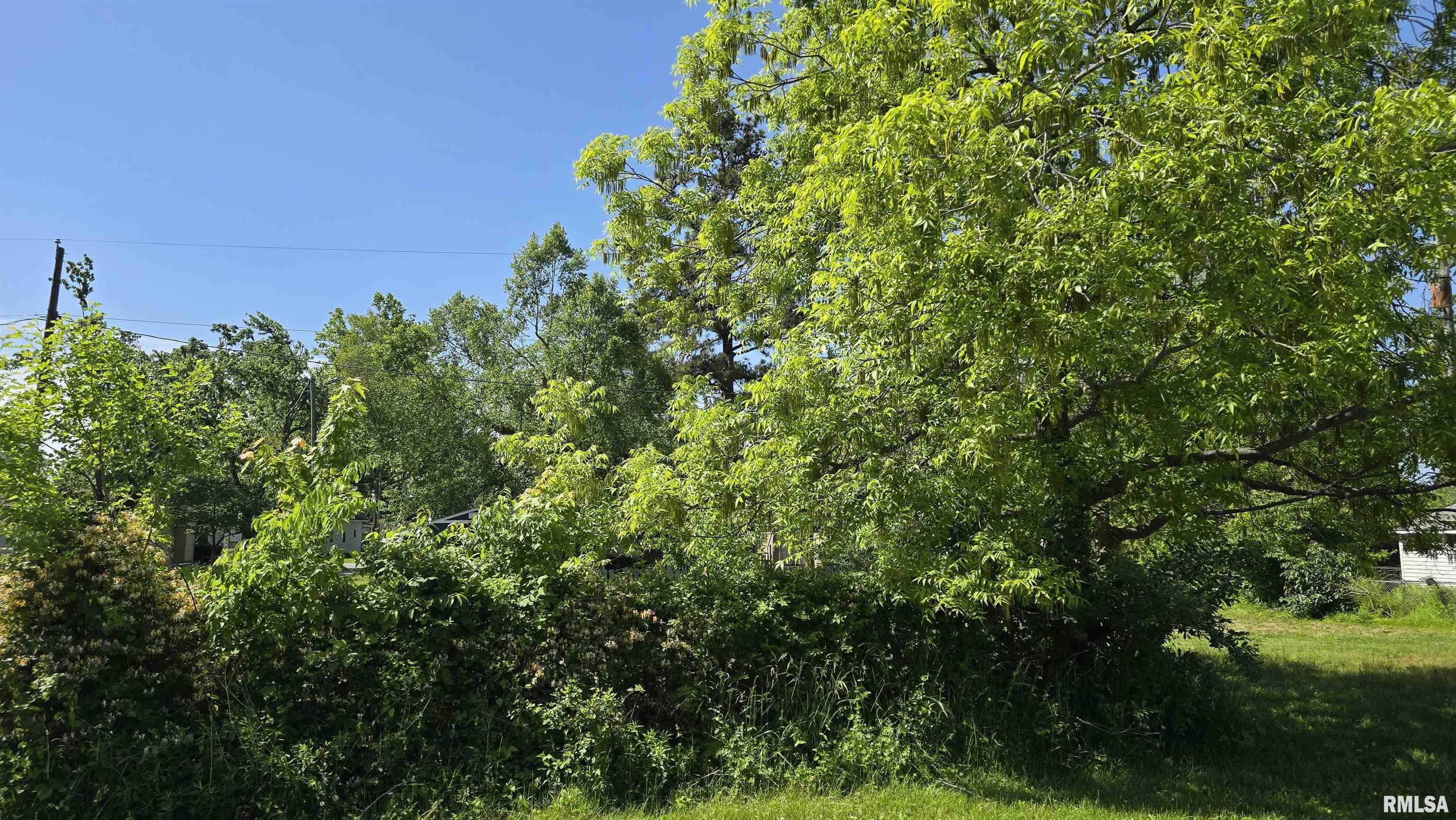1405 W Harrison Street, Herrin, Illinois image 10