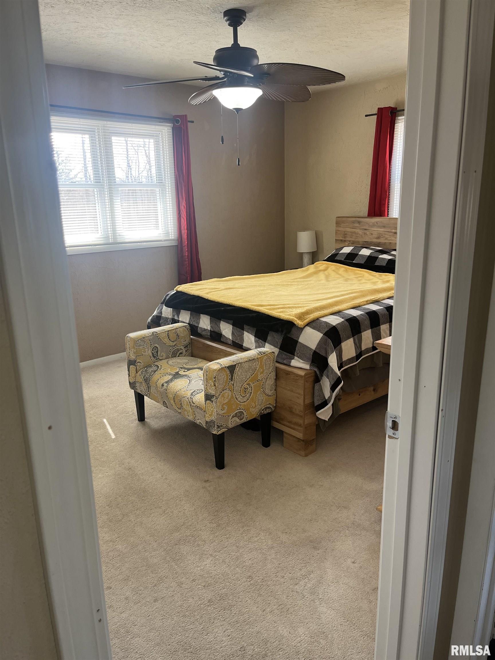 725 Oak Street, Andover, Illinois image 22