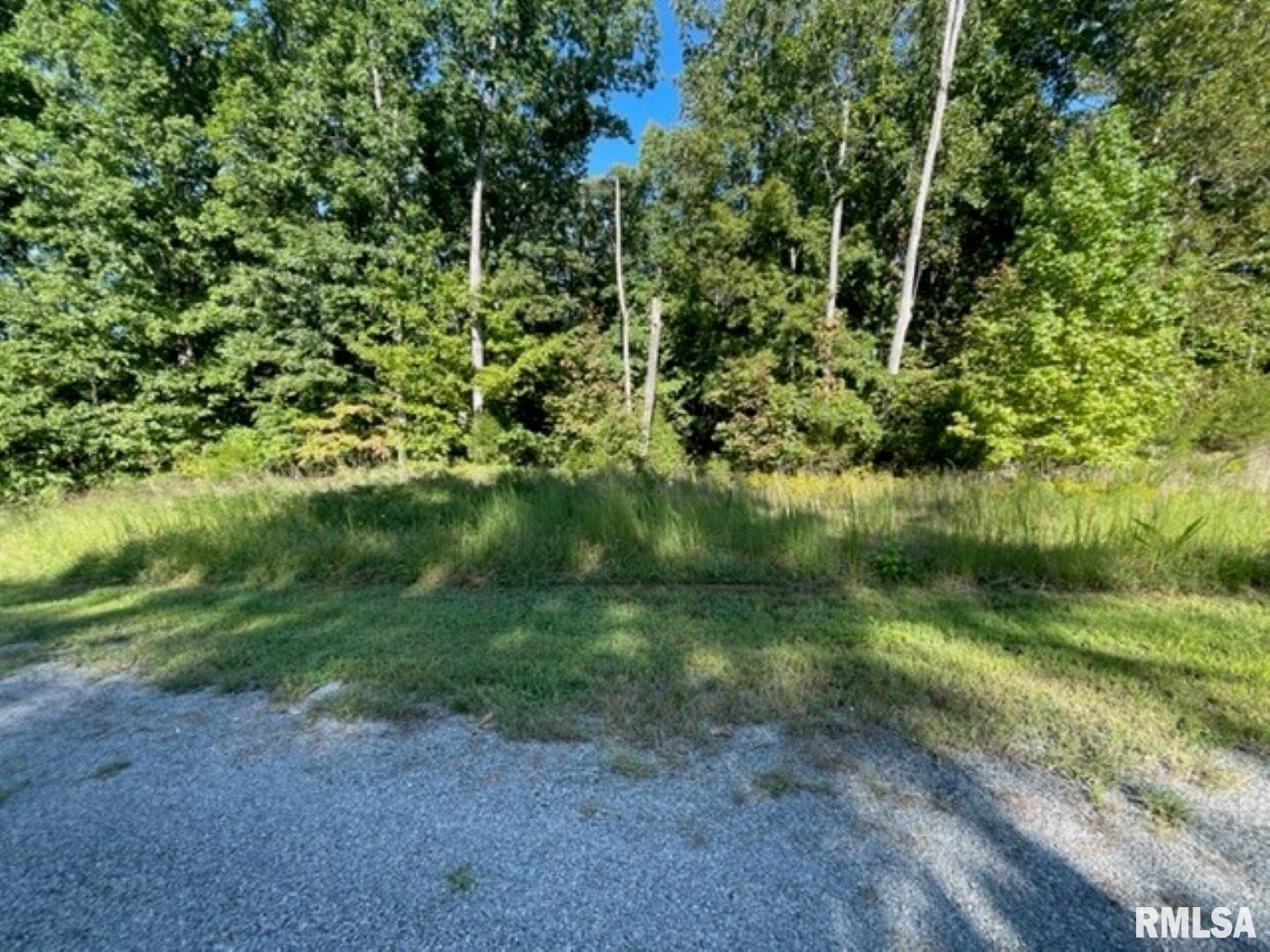 Lot 48 & 49 Chariot Court, Goreville, Illinois image 5