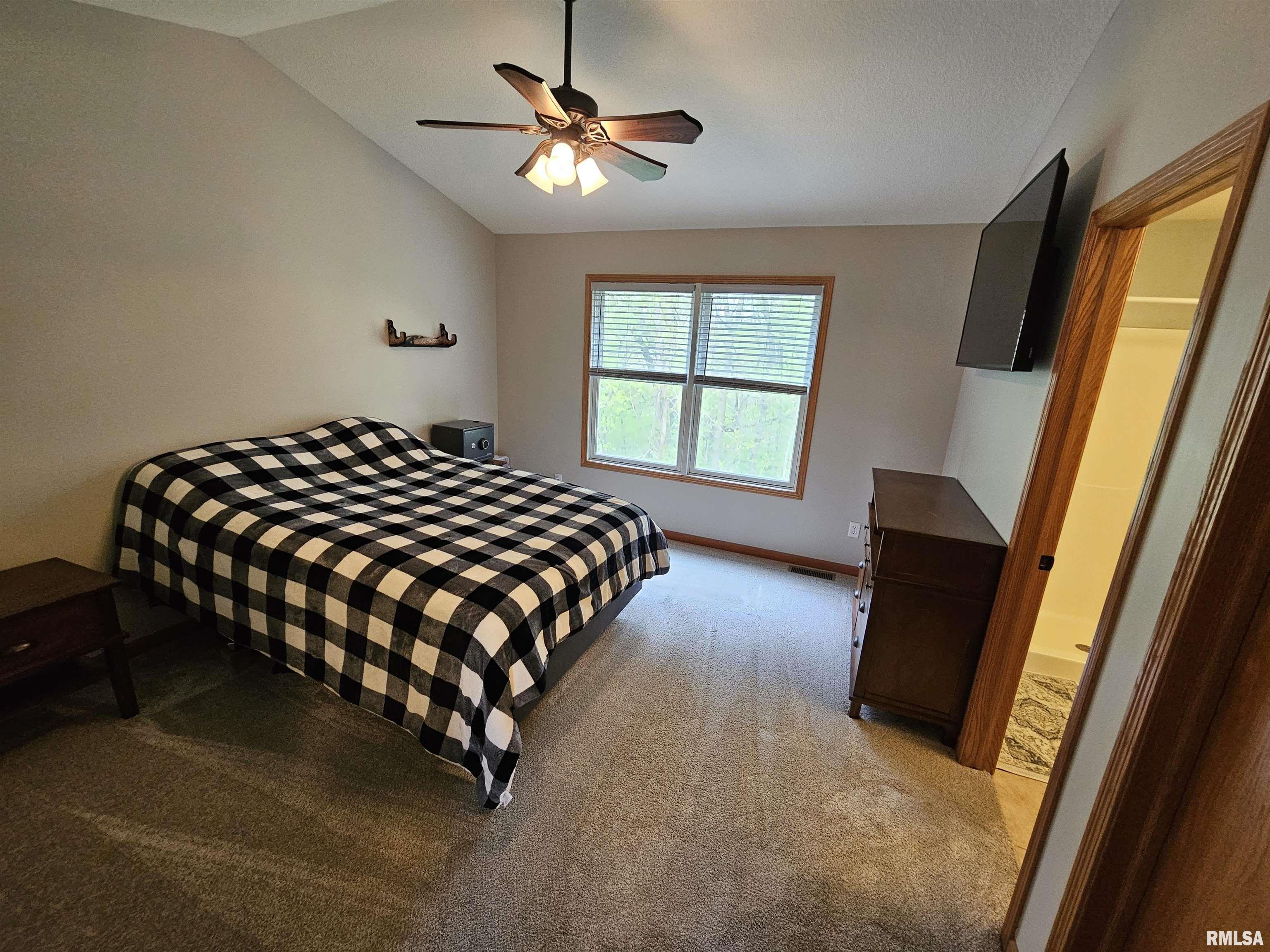 608 Cherry Court, Colona, Illinois image 23
