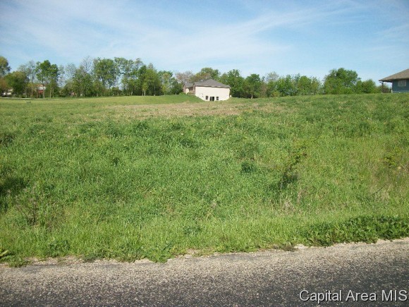 Lot 10 Street, Monmouth, Illinois image 2