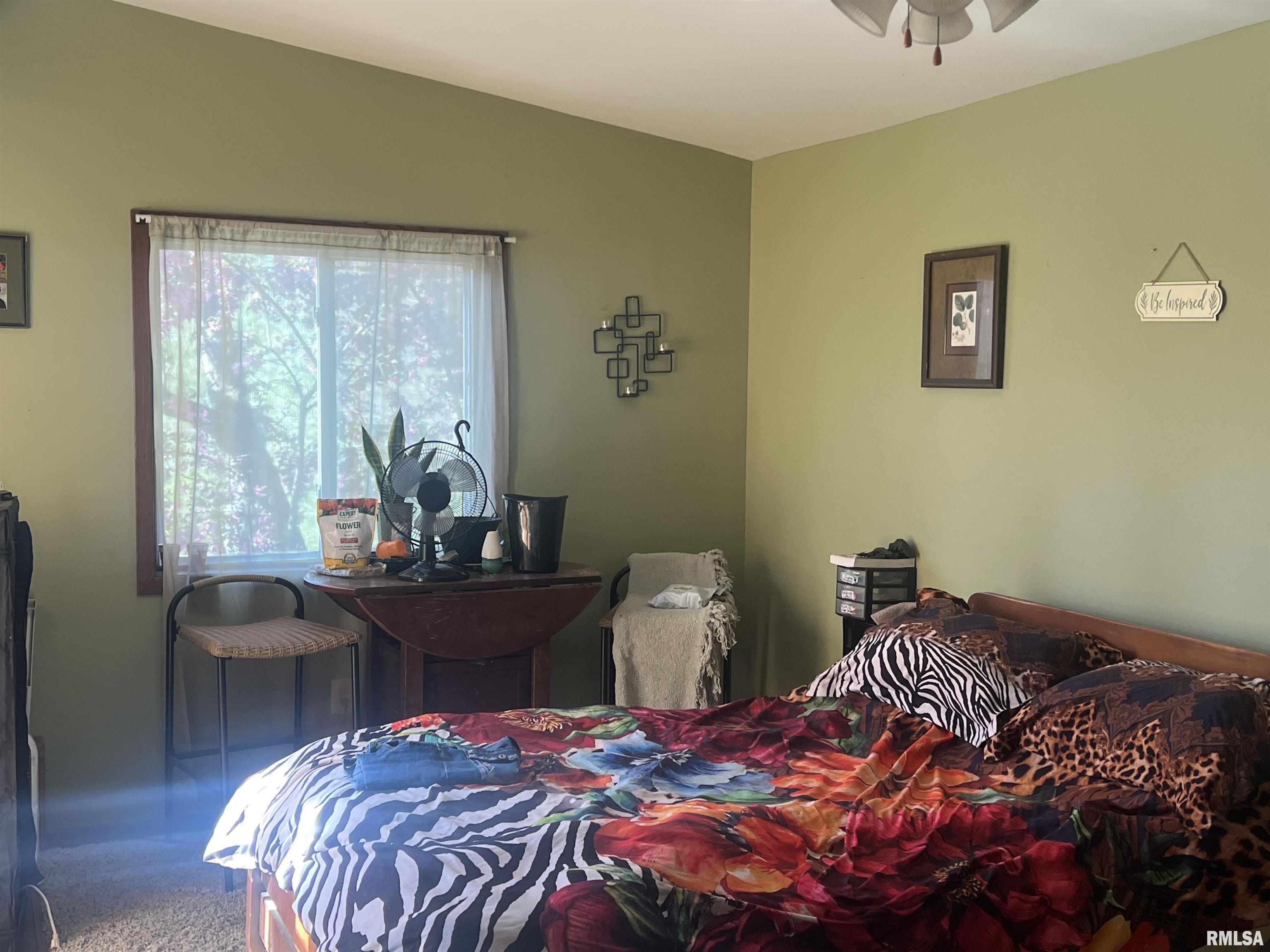 111 Dewhurst Avenue, Savanna, Illinois image 10