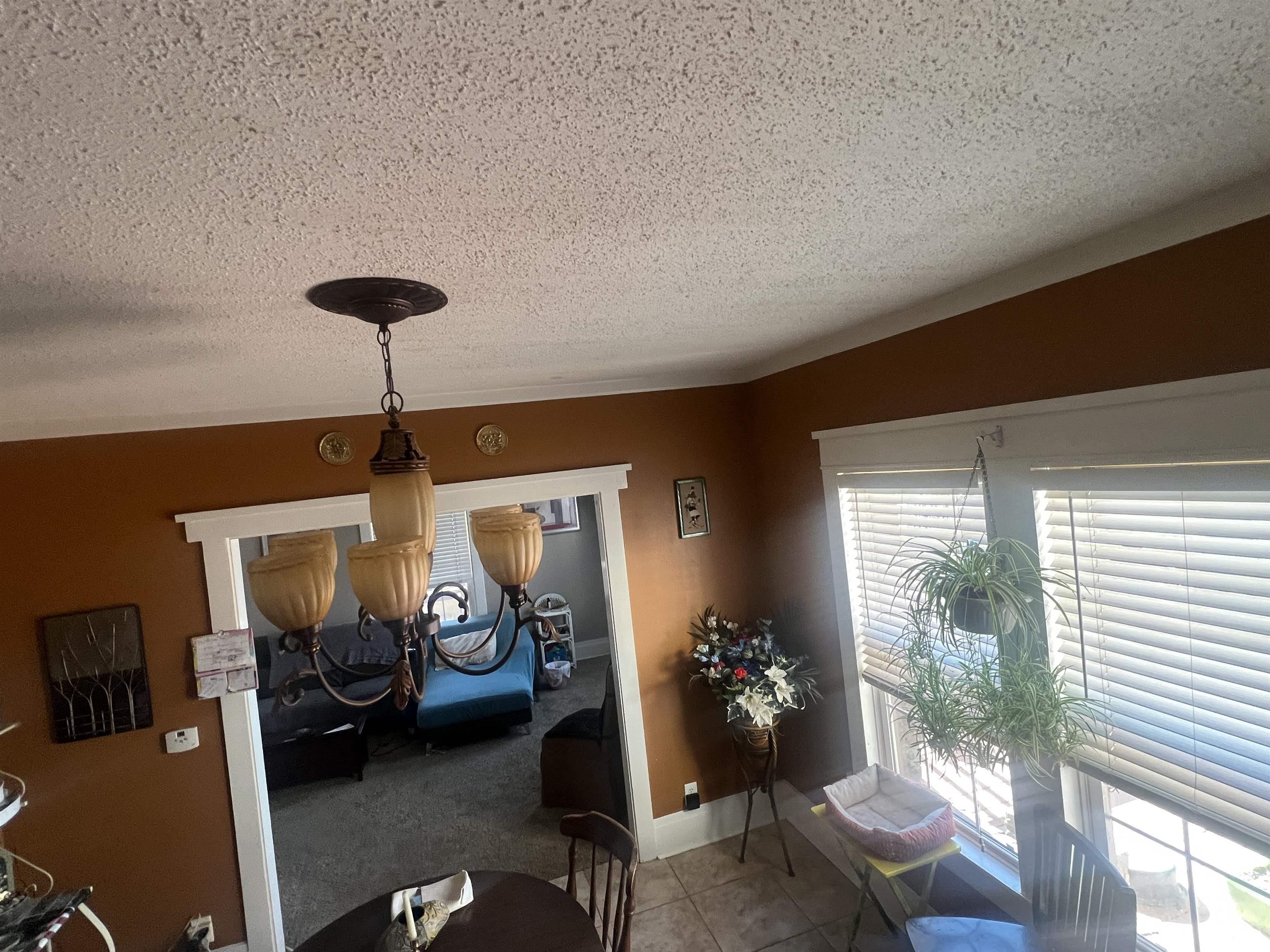 111 Dewhurst Avenue, Savanna, Illinois image 13