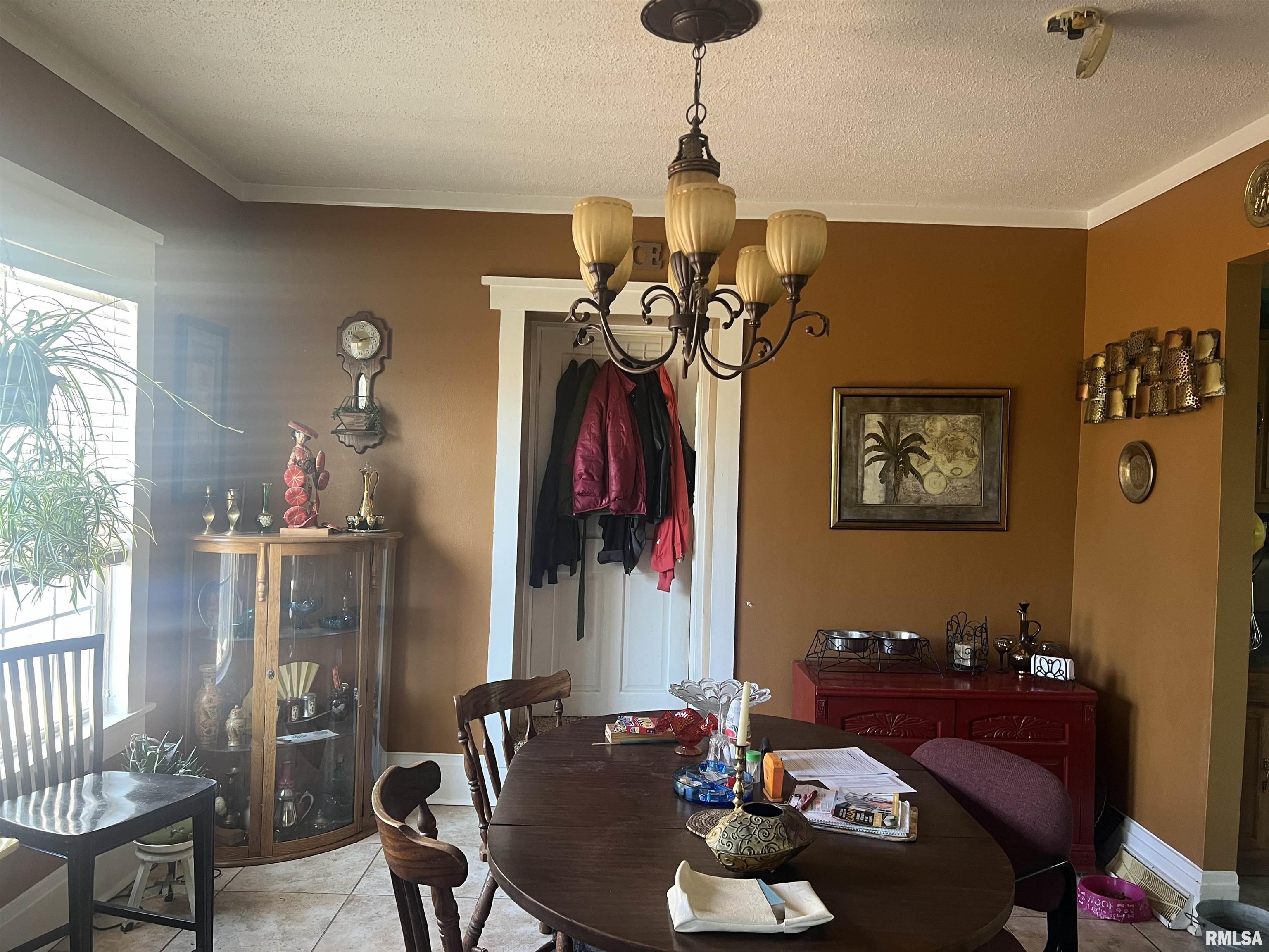111 Dewhurst Avenue, Savanna, Illinois image 7