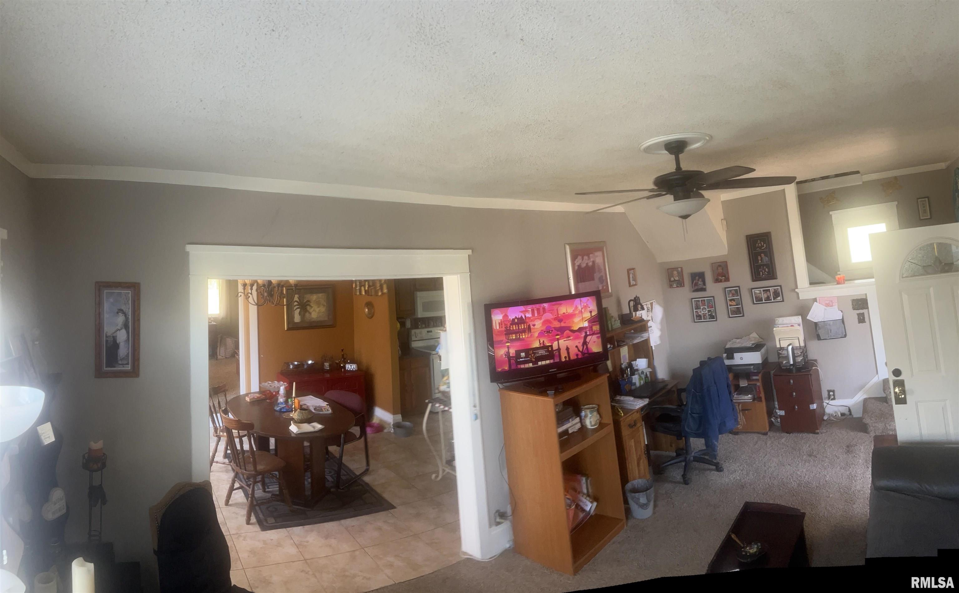 111 Dewhurst Avenue, Savanna, Illinois image 6