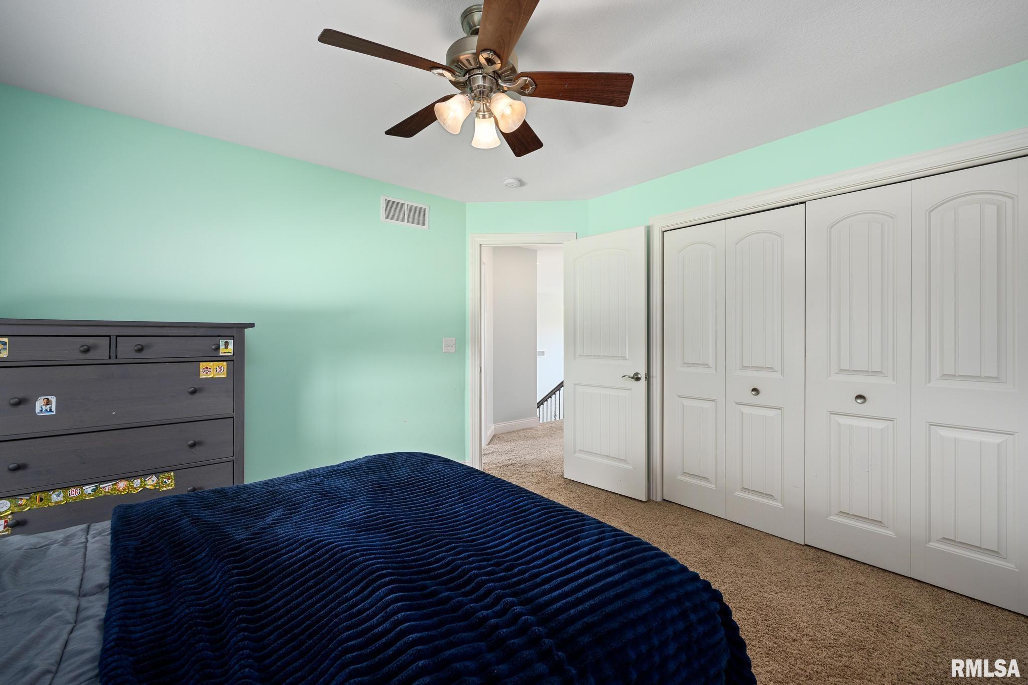 11202 Copper Creek Point, Dunlap, Illinois image 40