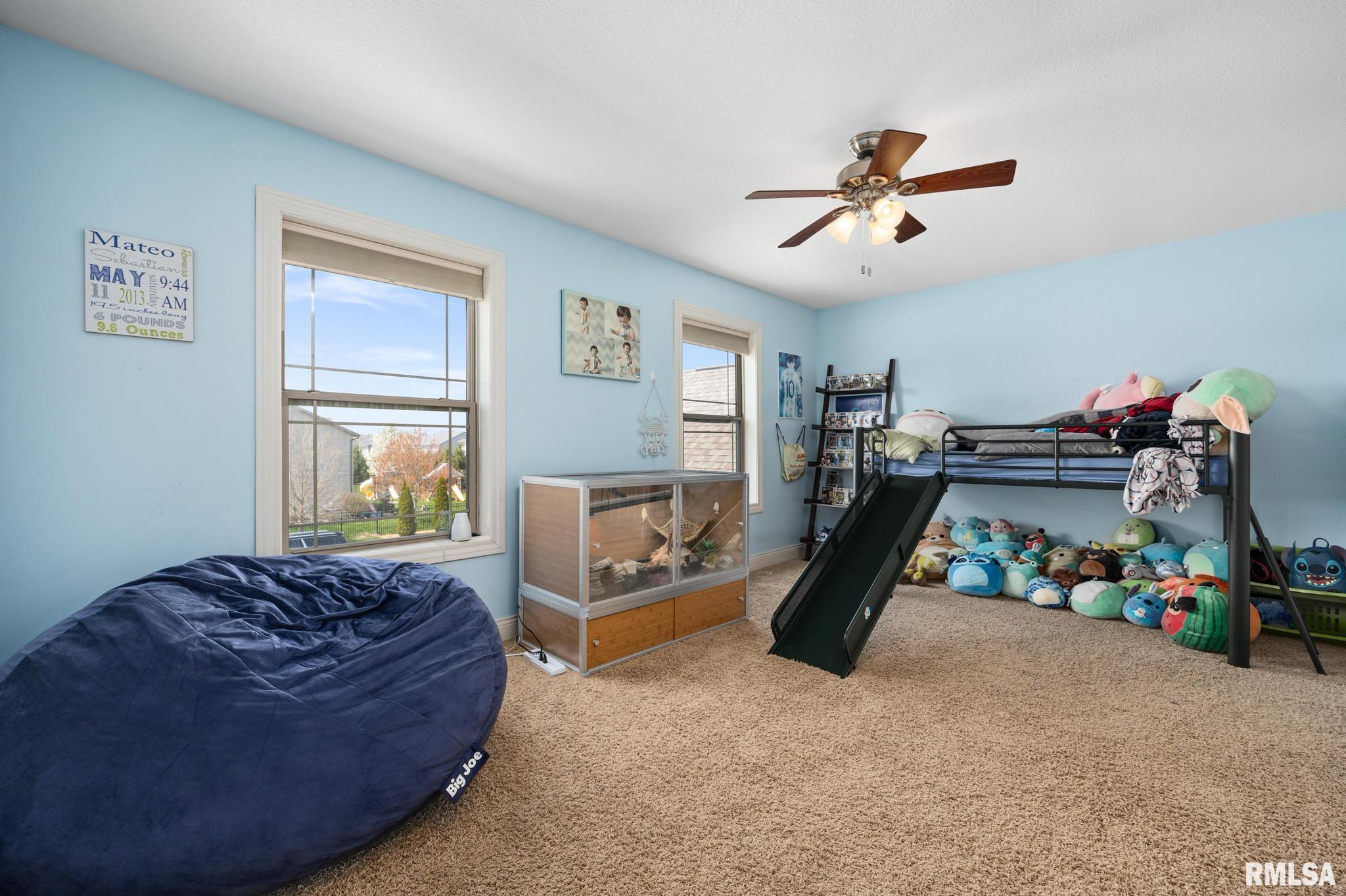 11202 Copper Creek Point, Dunlap, Illinois image 37