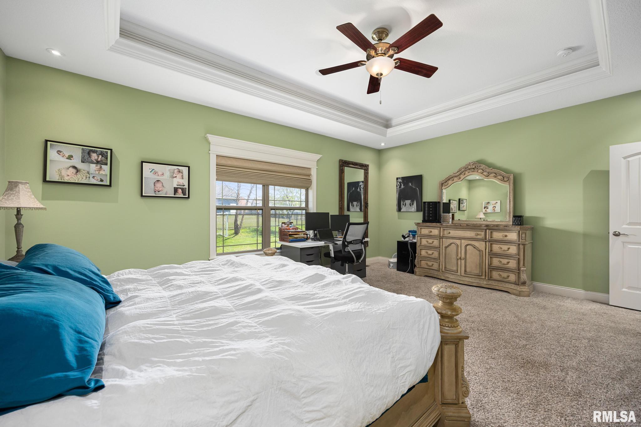 11202 Copper Creek Point, Dunlap, Illinois image 21