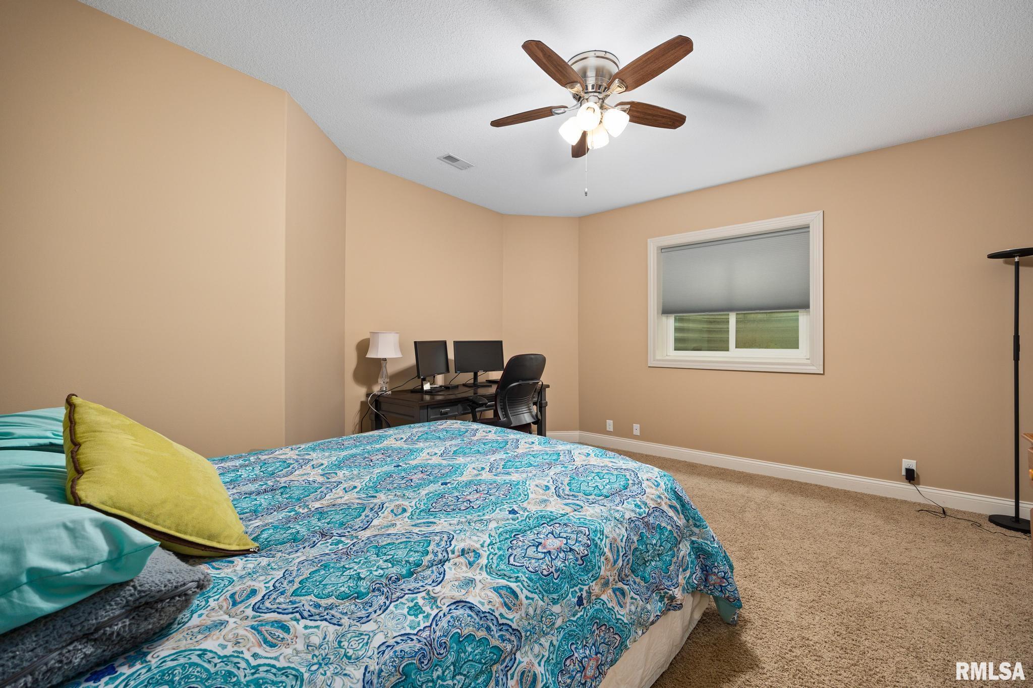 11202 Copper Creek Point, Dunlap, Illinois image 34