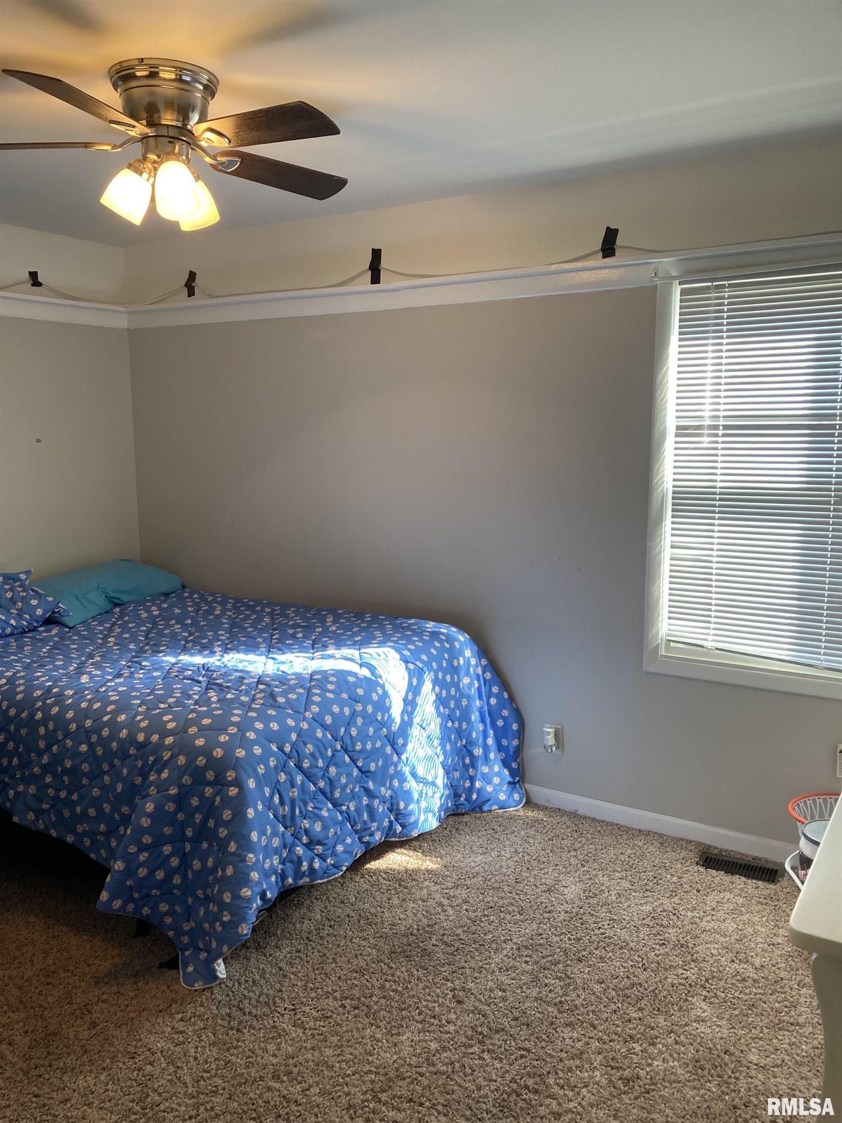 4514 Warren Street, Davenport, Iowa image 11