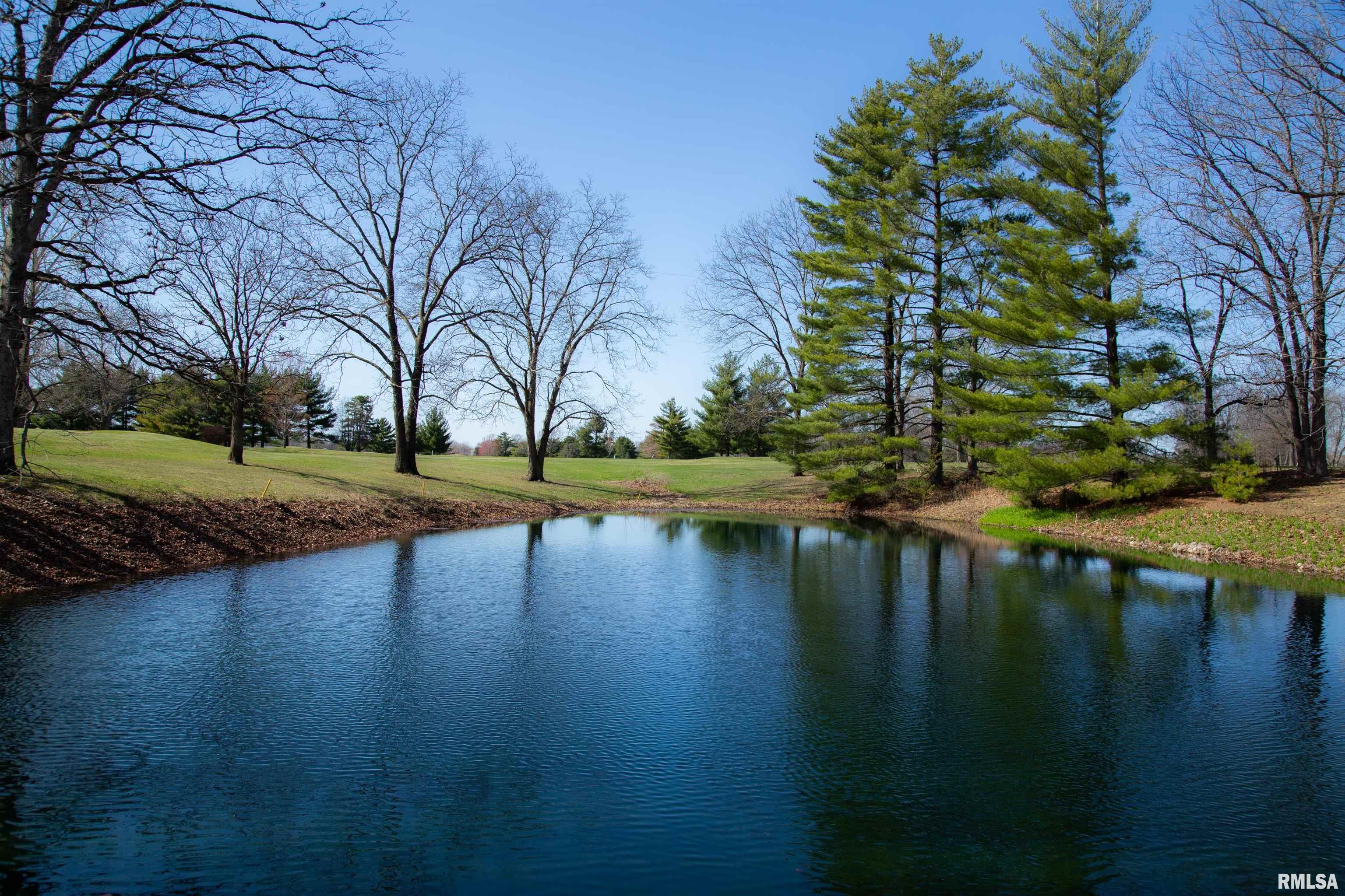 18705 Country Club Lane, Carlinville, Illinois image 49