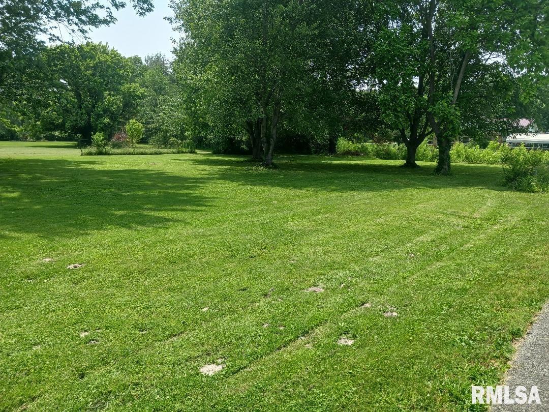 206 W Maryland Street, Zeigler, Illinois image 3