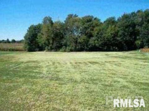 Vacant Land For Sale - LOT 10 Eagle Drive<br/> Lacon, IL 61540