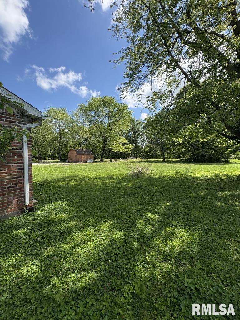 406 Church Street, Christopher, Illinois image 19