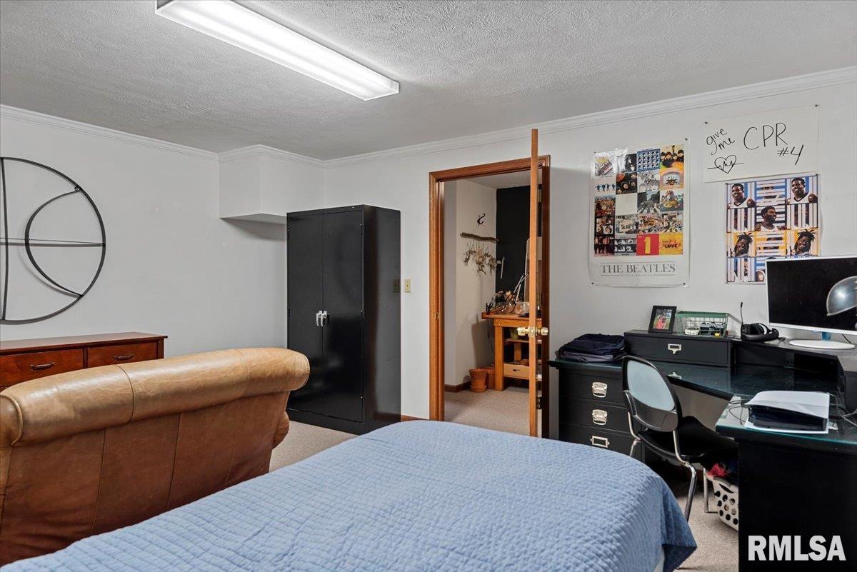 1405 Woods Farm Lane, Springfield, Illinois image 49