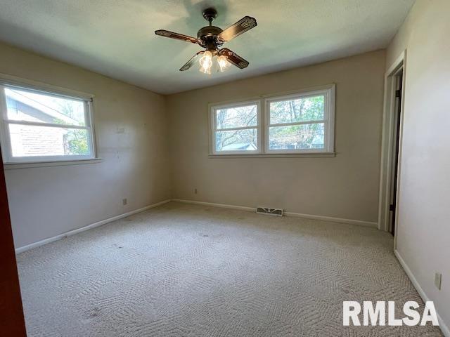 1137 Debbie Lane, Macomb, Illinois image 15
