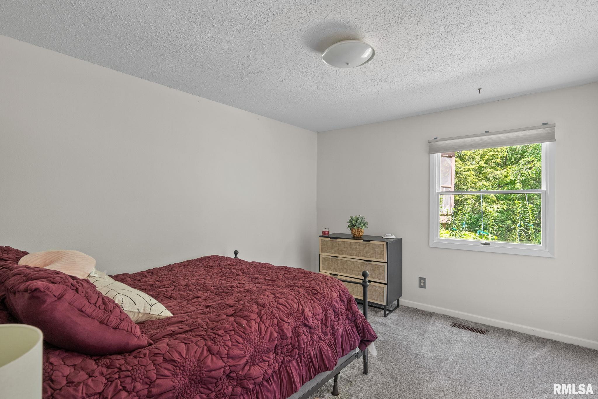 28013 230th Street, Le Claire, Iowa image 28