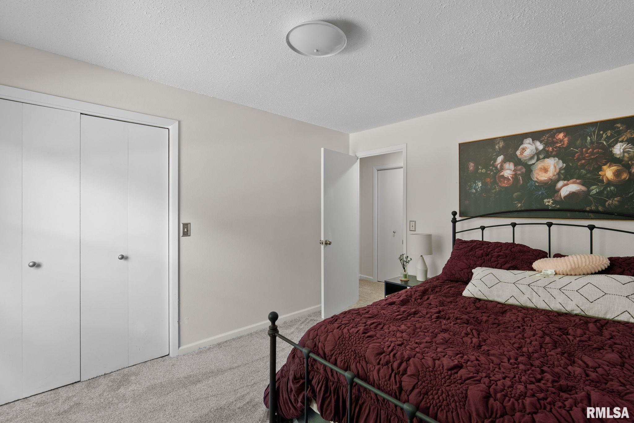 28013 230th Street, Le Claire, Iowa image 29