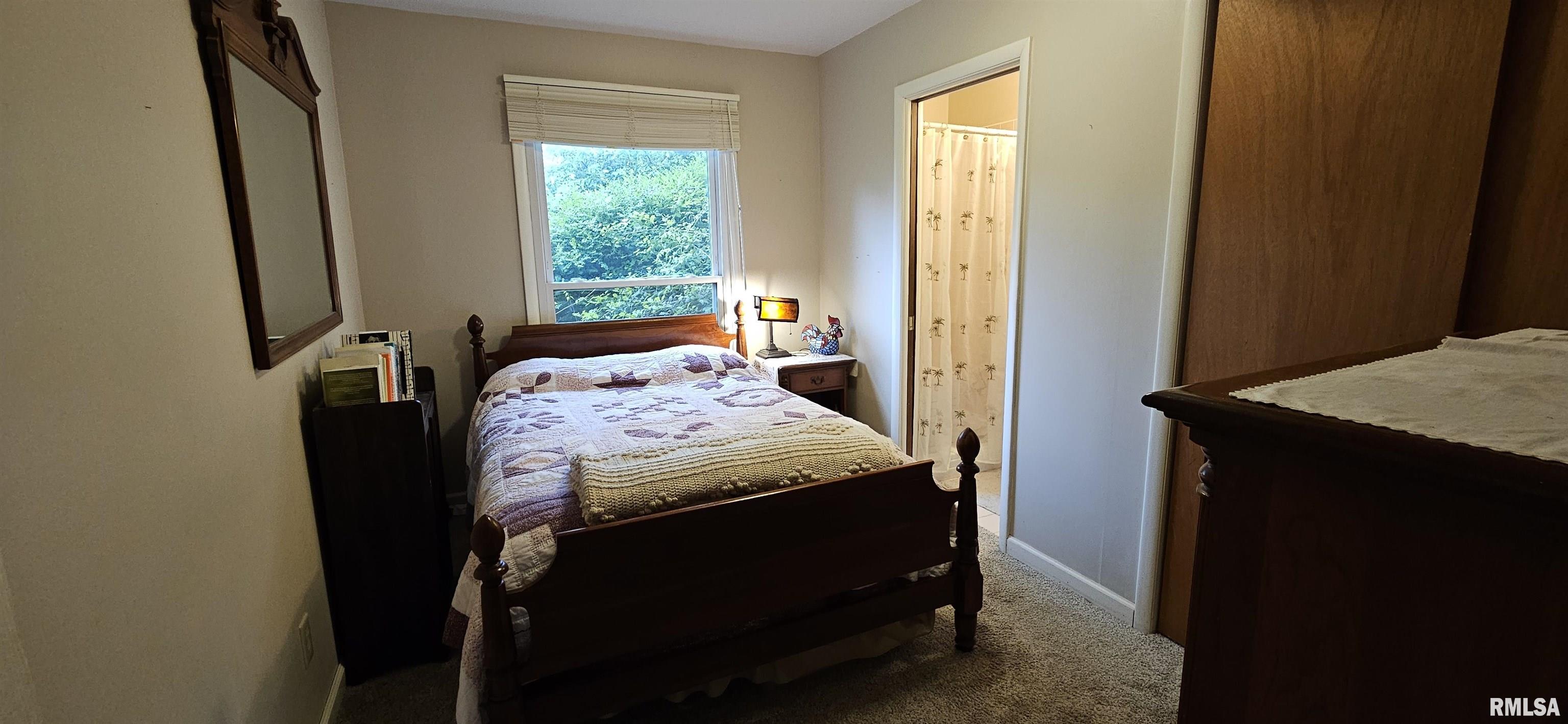 1608 W Briarwood Drive, Carbondale, Illinois image 22