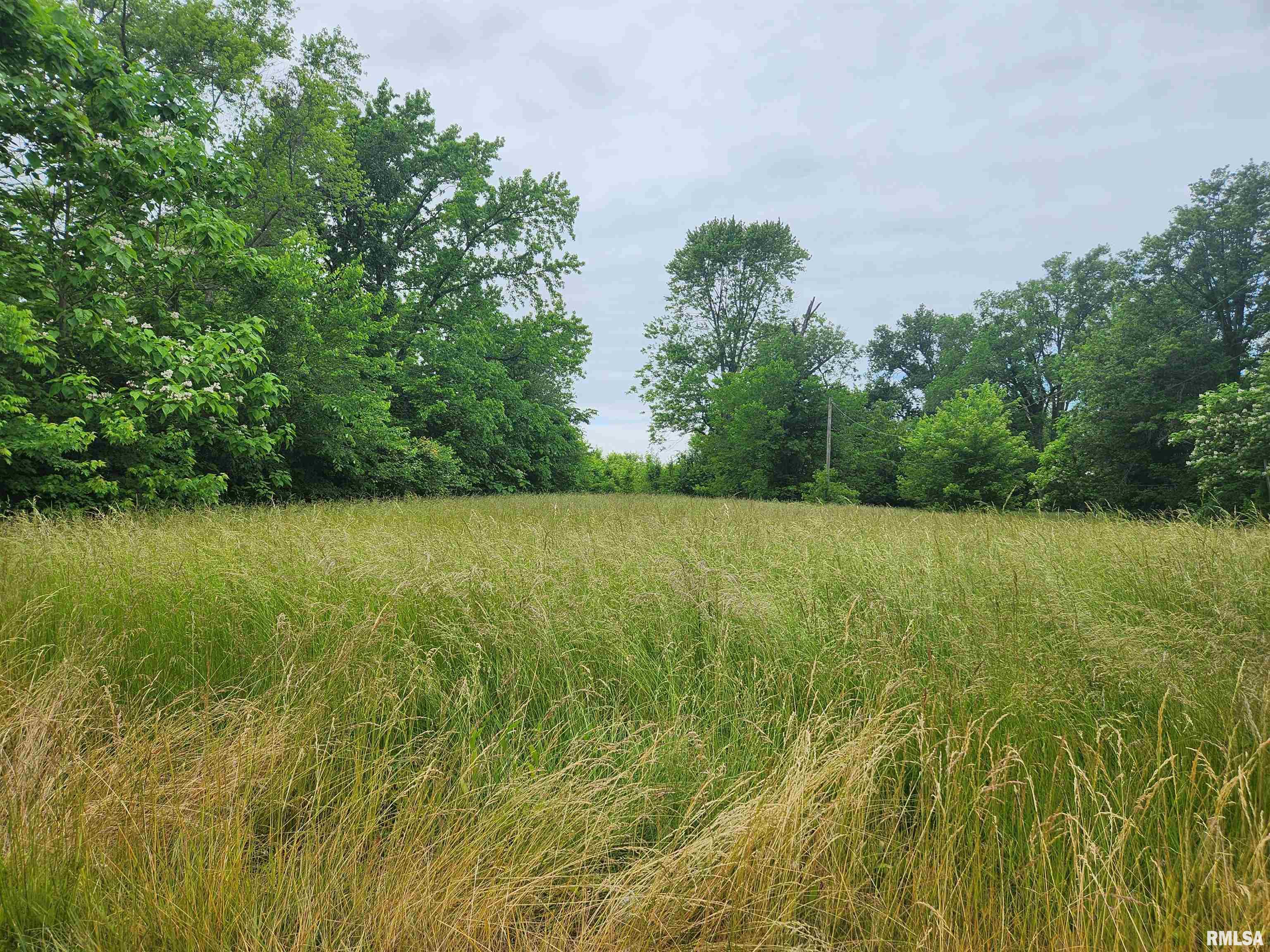 245 N Hickory Street, Tamaroa, Illinois image 1