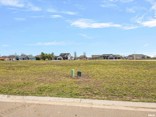 412 SUNDOWN LN, CHATHAM, IL 62629 - Image 4e15909f93d06b9f1051e28f12cecd8a/2483013633