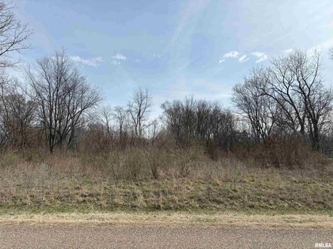 Vacant Land For Sale - 15312 N 7th Street<br/> Chillicothe, IL 61523